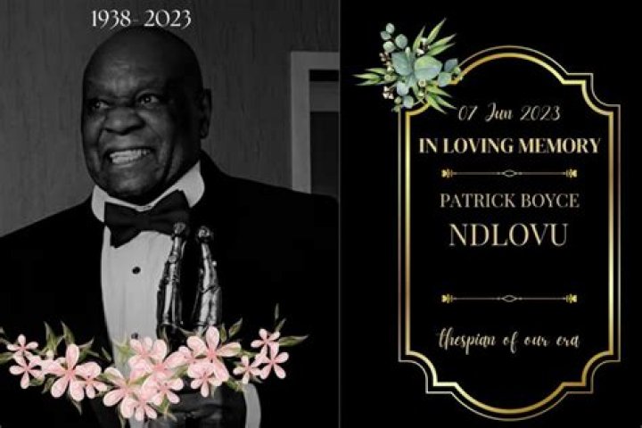 Patrick Ndlovu Biography