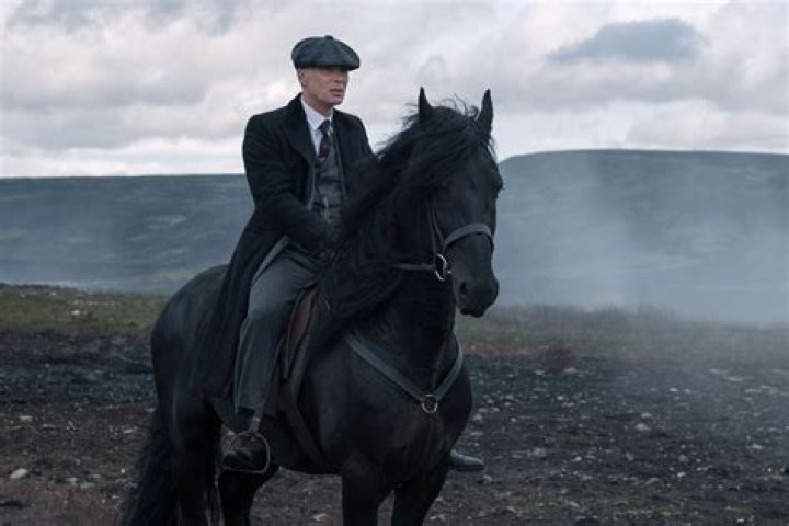 Peaky Blinders S5 Thomas Shelby 💙 Peaky blinders, Cillian murphy, Tommy