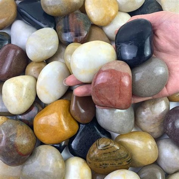 Pebbles Net Worth How Much Is Pebbles Worth?