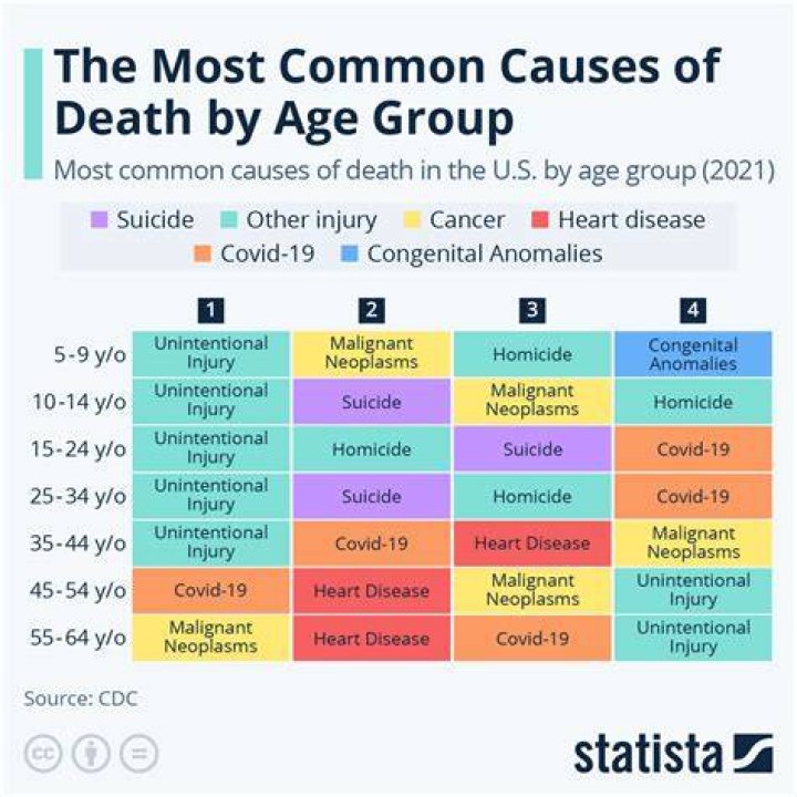 Pedro Gomez's Cause Of Death And Medical Insights