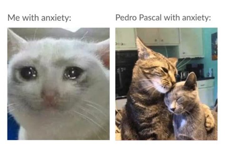 Pedro pascal crying at post nut clarity meme - Songs for my post nut clarity