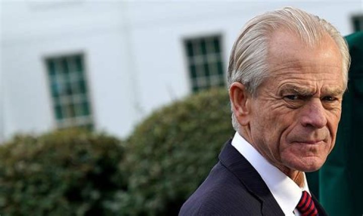 Peter Navarro Net Worth How Much Is He Worth? EducationWeb