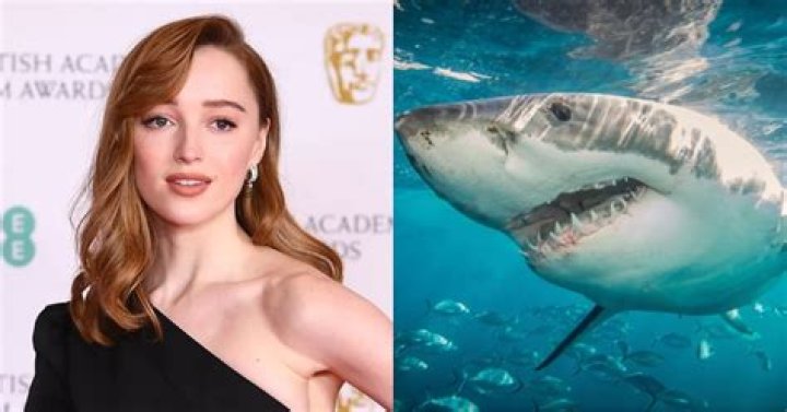 Phoebe Dynevor to Star in TV Series "Exciting Times" Sada Elbalad