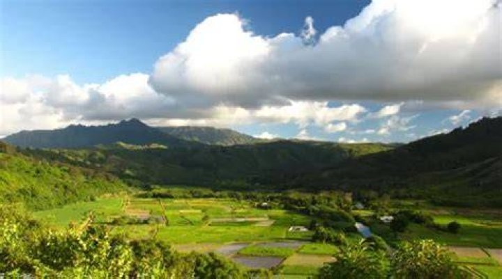 photo.jpg