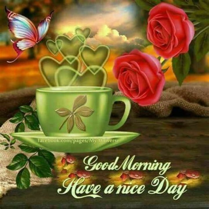 Pin by Josefa on Mornings Good morning prayer, Morning thoughts, Good