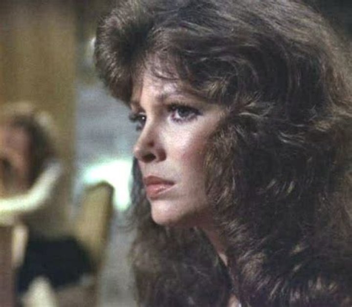 Pin by Lysa Gatis on Heather Locklear Heather locklear, 80s girls
