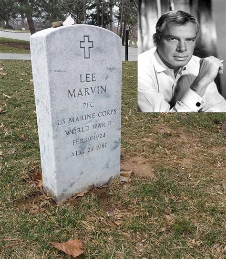 Pin by Pat Marvin on Doug McClure 19351995 Doug mcclure, The