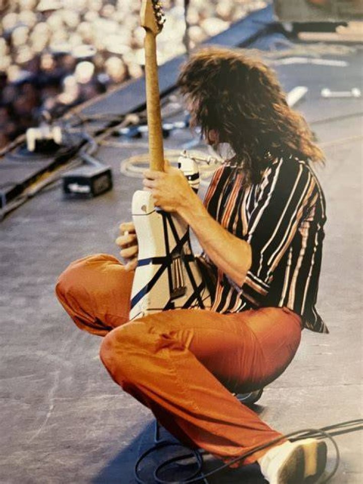 Pin by SLOBBERSLEEVE on Eddie Van Halen Guitars in 2021 Eddie van
