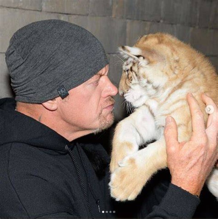Pin by TheHorseLover on Mark Calaway "The Undertaker" Wwe couples