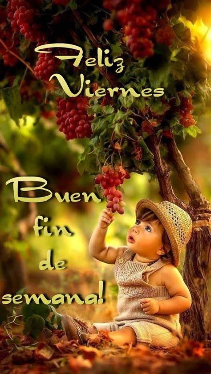 Pin de Carmen E Gonzalez en mi pagina Mundo Pensamientos de buenas
