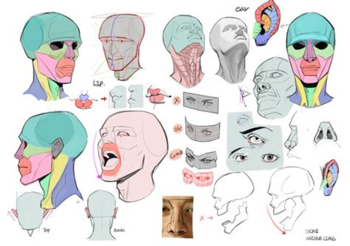 Pin on Anatomy fucking references ffs