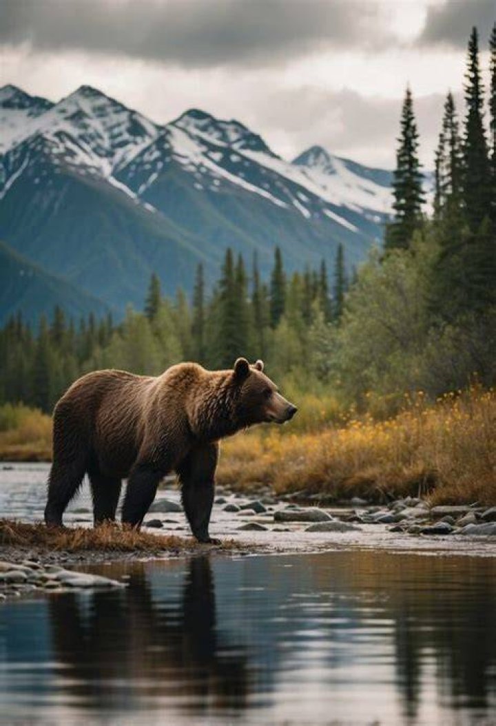 Pin on Breathtaking