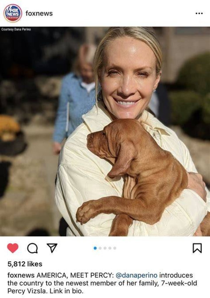 Pin on Dana perino