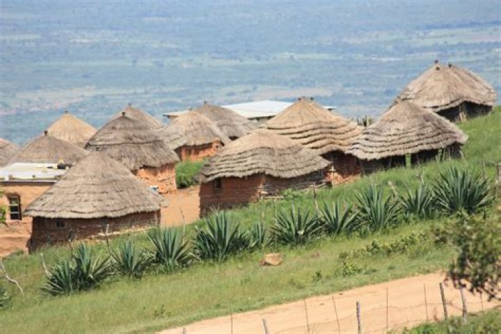 Pin on Swaziland