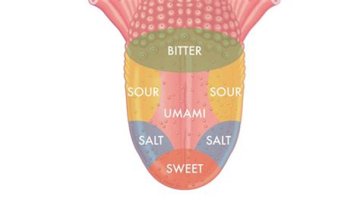 Pin on Taste Sensations