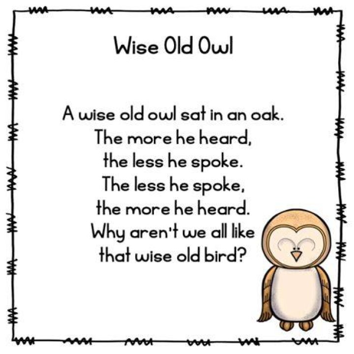 Pin on Wise Ol' Owls