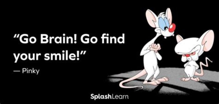Pinky And The Brain Quotes. QuotesGram