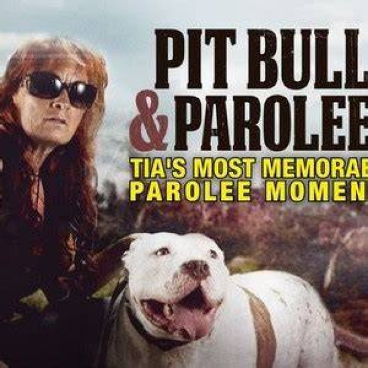 Pit Bulls & Parolees Tia Torres Husband Is She Still Married To Aren