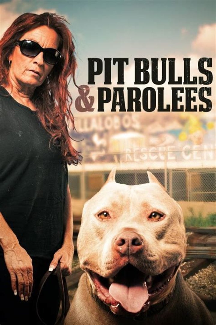 Pitbulls & Parolees Cast Back with New Season Is Tia Torres' Husband