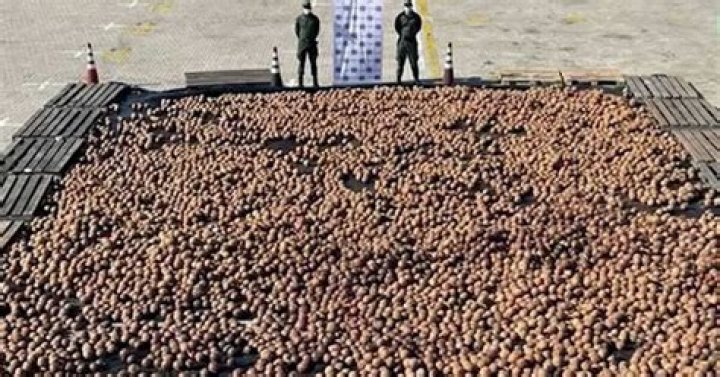 Police seize nearly 20,000 coconuts filled with liquid cocaine Action