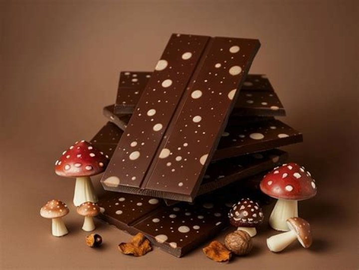 Polkadot Mushroom Chocolate Bar the Original OG Empty Box Etsy