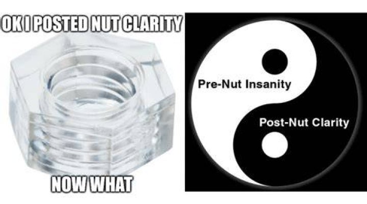 Post Nut Clarity In a Nutshell - Post nut clarity songs