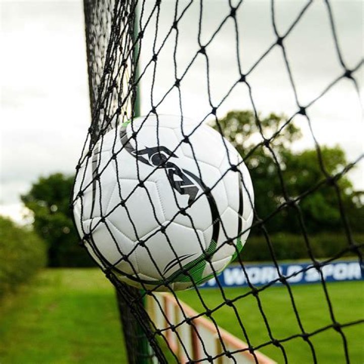 PremiumGrade MultiSport Netting [Made To Any Size] Net World Sports