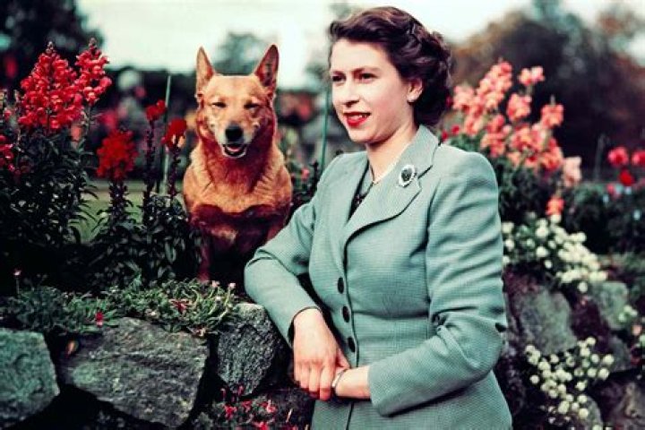 Queen Elizabeth with her two youngest children, Princes Edward and