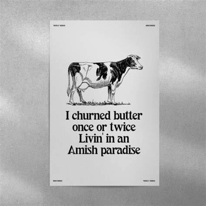 "Weird" Al Yankovic - Amish Paradise (Official Parody of "Gangsta's Paradise") - country music meme cat