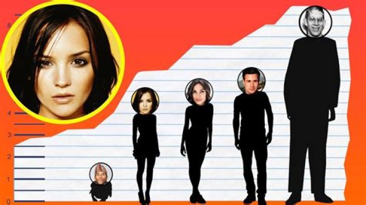 Rachael Leigh Cook Height, Net Worth, Affair, Age, Career, and More