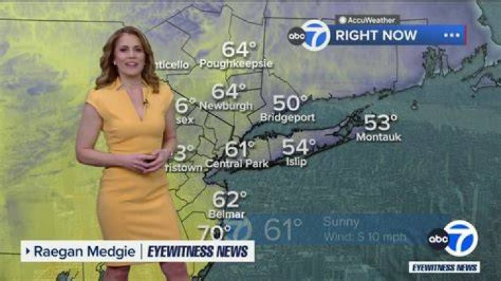 Raegan Medgie's Departure From Fox News