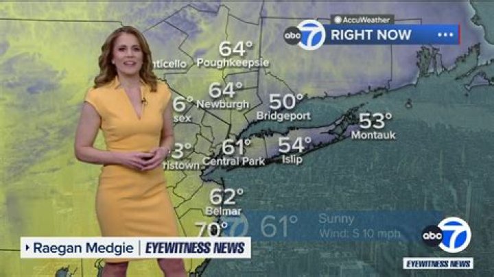 Raegan Medgie's Departure From Fox