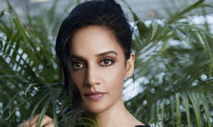 Rajesh Nihalani Wiki Bio. &ldquo;The Good Wife&rdquo; star Archie Panjabi&rsquo;s husband