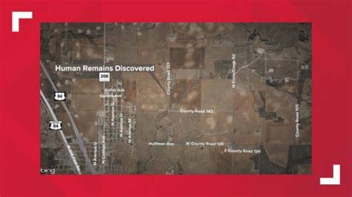 Remains found in South Texas 'likely' body of missing 24yearold woman