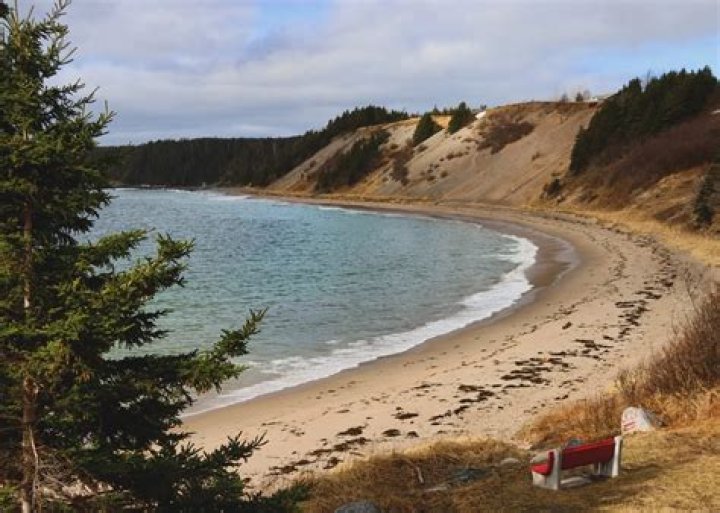 Reservations — at the Cove