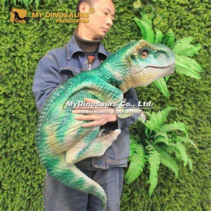 Rex Hand's Instagram, Twitter & Facebook on IDCrawl