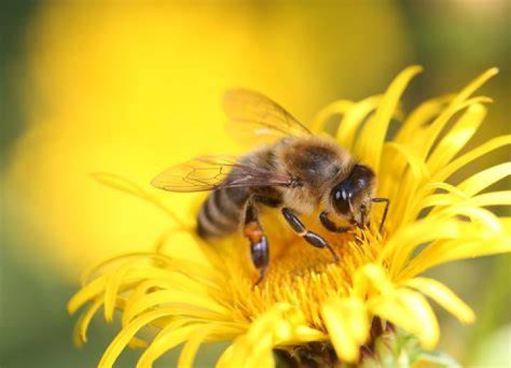 Rita haney hires stock photography and images Alamy