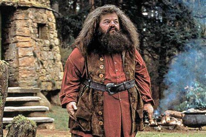 Robbie Coltrane — The Movie Database (TMDB)