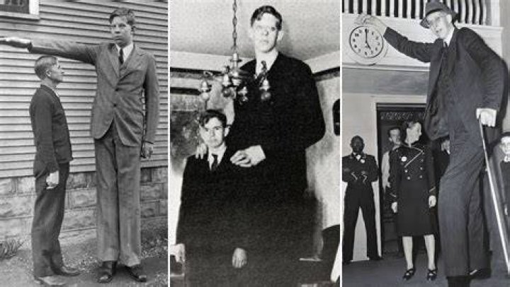 Robert Wadlow: Unraveling The Mystery Of The World's Tallest Man