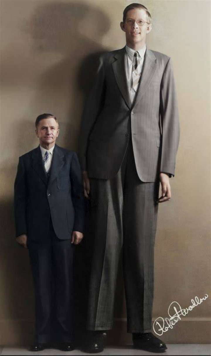 Robert Wadlow weight, height and age. Body measurements!