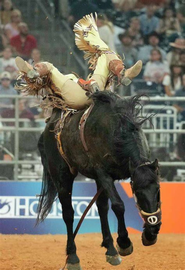 RodeoHouston Rocker Steiner advances to bareback semifinals