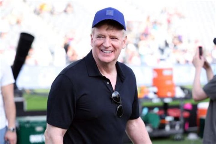 Roger Goodell's wife admits she was behind anonymous Twitter account