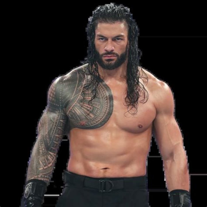 Roman Reigns Pro Wrestling Fandom