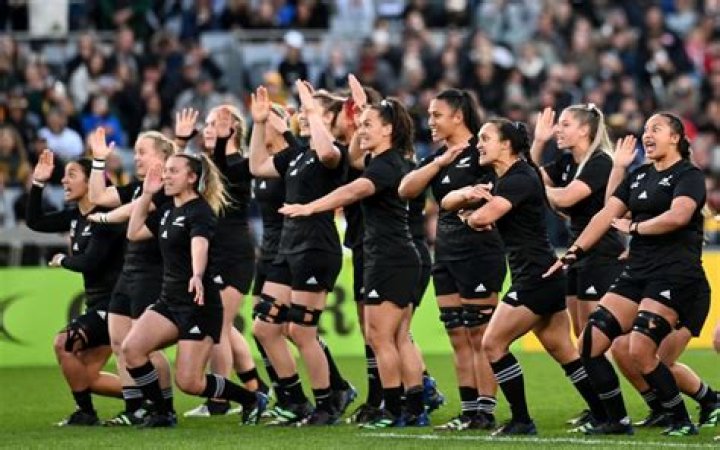 Rugby fans getting ready for Chris Harris in British Lions clash