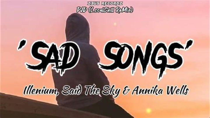 Sad Songs - Illenium, Said The Sky - Country Music Harmonica Songs