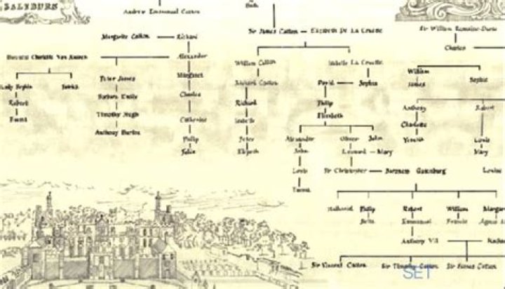Saltburn&rsquo;s Catton Family Tree Explained News 2Day