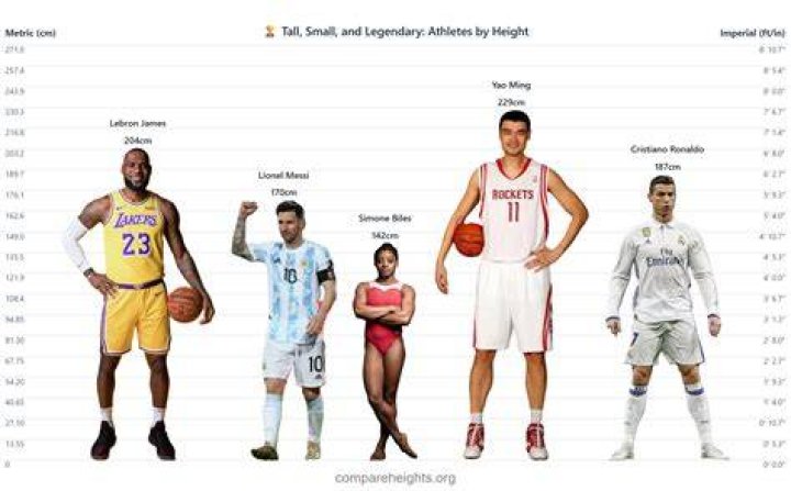 Sam Asghari Height How Tall Is Sam Asghari ?