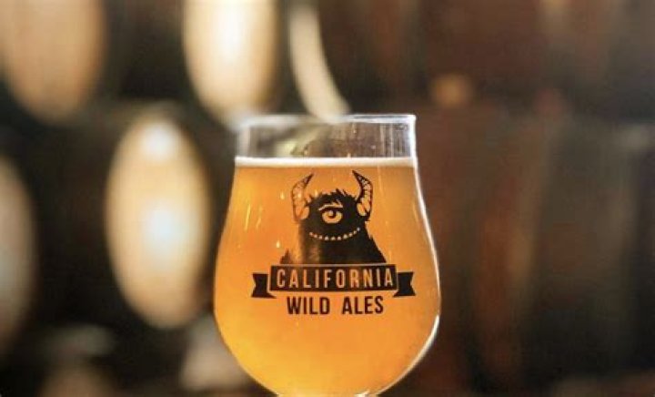 SanDiegoVille California Wild Ales To Open Tasting Room In San Diego's