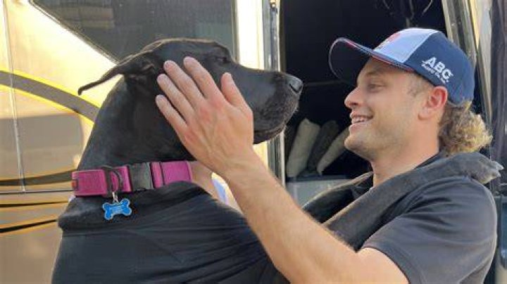 Santino Ferrucci and his dogs are at home at the 2023 Indianapolis 500