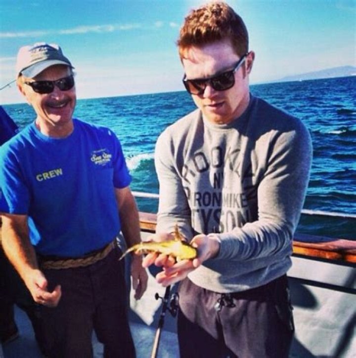 Saul Canelo Alvarez, Square Sunglasses Men, Mens Sunglasses, Man O